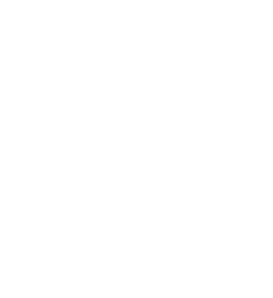 BLG BUILDING GROUP